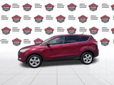 Used 2014 Ford Escape SE image 2
