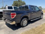 Used 2014 Ford F150 XLT w/ Equipment Group 302A Luxury image 5