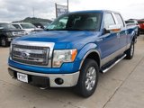 Used 2013 Ford F150 XLT w/ Luxury Equipment Group image 2