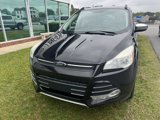 Used 2016 Ford Escape SE w/ SE Chrome Package image 4