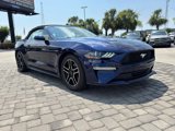 Used 2019 Ford Mustang Convertible w/ Equipment Group 101A image 4