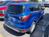 Used 2014 Ford Escape Titanium image 4