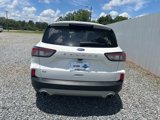 Used 2022 Ford Escape SE w/ Convenience Package image 4