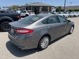 Used 2013 Ford Fusion SE image 4