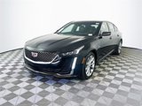 Used 2023 Cadillac CT5 Premium Luxury w/ Climate Package image 3