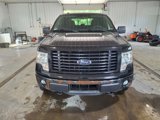 Used 2014 Ford F150 STX w/ Equipment Group 201A Mid image 2