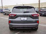 New 2024 Ford Escape ST-Line w/ Tech Pack #1 image 6