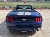 Used 2019 Ford Mustang Premium image 6