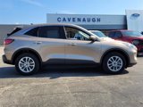 Certified 2021 Ford Escape SE image 3