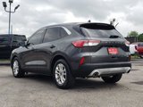 Used 2020 Ford Escape SE image 5