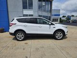 Used 2017 Ford Escape SE w/ Equipment Group 201A image 5