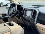 Used 2019 Ford F150 XLT w/ Equipment Group 301A Mid image 6