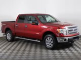 Used 2014 Ford F150 XLT w/ Equipment Group 302A Luxury image 2