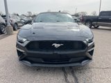 Certified 2022 Ford Mustang Premium image 3