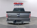 Used 2013 Ford F150 XLT w/ Luxury Equipment Group image 4