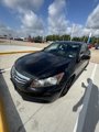 Used 2011 Honda Accord SE image 2