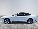 Used 2019 Ford Mustang Premium w/ Equipment Group 201A image 4
