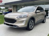 Used 2020 Ford Escape SEL image 5