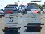Used 2020 Nissan Rogue SL w/ Premium Package image 5