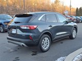 Used 2022 Ford Escape SE w/ Convenience Package image 4