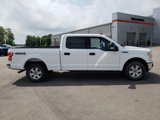 Used 2019 Ford F150 XLT image 4