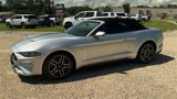 Used 2019 Ford Mustang GT Premium image 4