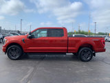 Used 2023 Ford F150 XLT w/ Equipment Group 302A High image 6