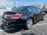 Used 2012 Honda Accord EX-L image 5
