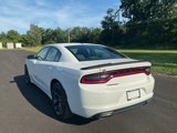 Used 2020 Dodge Charger SXT w/ Blacktop Package image 5