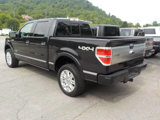 Used 2013 Ford F150 Platinum image 3