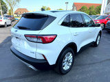 Used 2020 Ford Escape SE image 5