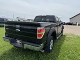 Used 2013 Ford F150 XLT w/ Luxury Equipment Group image 4