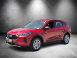 Used 2025 Ford Escape Active w/ Tech Pack #1 image 5