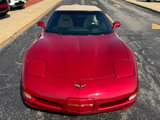 Used 1999 Chevrolet Corvette Convertible w/ Performance Handling Pkg image 4