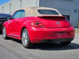 Used 2013 Volkswagen Beetle TDI image 4