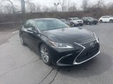 Used 2019 Lexus ES 350 image 2