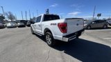 Used 2022 Ford F150 XLT w/ Equipment Group 302A High image 4