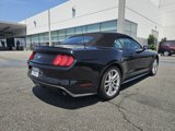 Used 2016 Ford Mustang Premium w/ Pony Package image 2