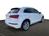 Used 2019 Audi Q5 2.0T Premium Plus w/ Premium Plus Package image 6