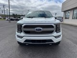 Used 2021 Ford F150 Limited image 2