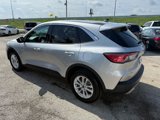 Used 2020 Ford Escape SE image 4