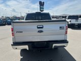 Used 2014 Ford F150 XLT w/ Equipment Group 302A Luxury image 5