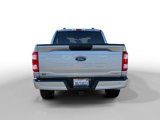 Used 2023 Ford F150 XL w/ STX Appearance Package image 4