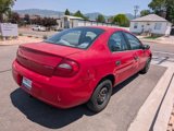 Used 2005 Dodge Neon SE image 4
