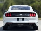 Used 2020 Ford Mustang Premium image 5