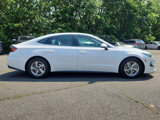 Used 2021 Hyundai Sonata SE image 6