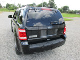 Used 2011 Ford Escape XLT image 4