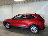 Used 2023 Ford Escape Active w/ Cold Weather Package image 4