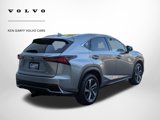 Used 2020 Lexus NX 300h AWD w/ Premium Package image 3