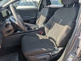New 2025 Hyundai Elantra SEL image 4